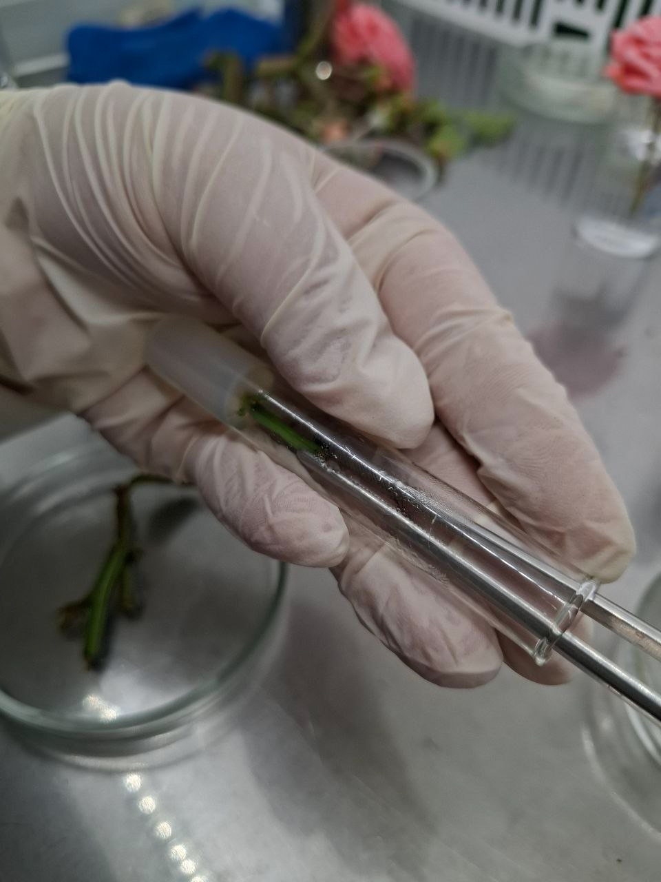 Студенты ГПОУ ТО «ТСХК им. И.С.Ефанова» 2 курса группы 261 «Технология продуктов питания из растител...