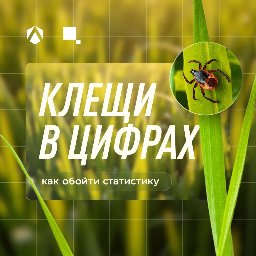 Статистика тоже кусается 🕷️

Специалисты исследовали уже около 3000 клещей, 517 из них оказались зар...