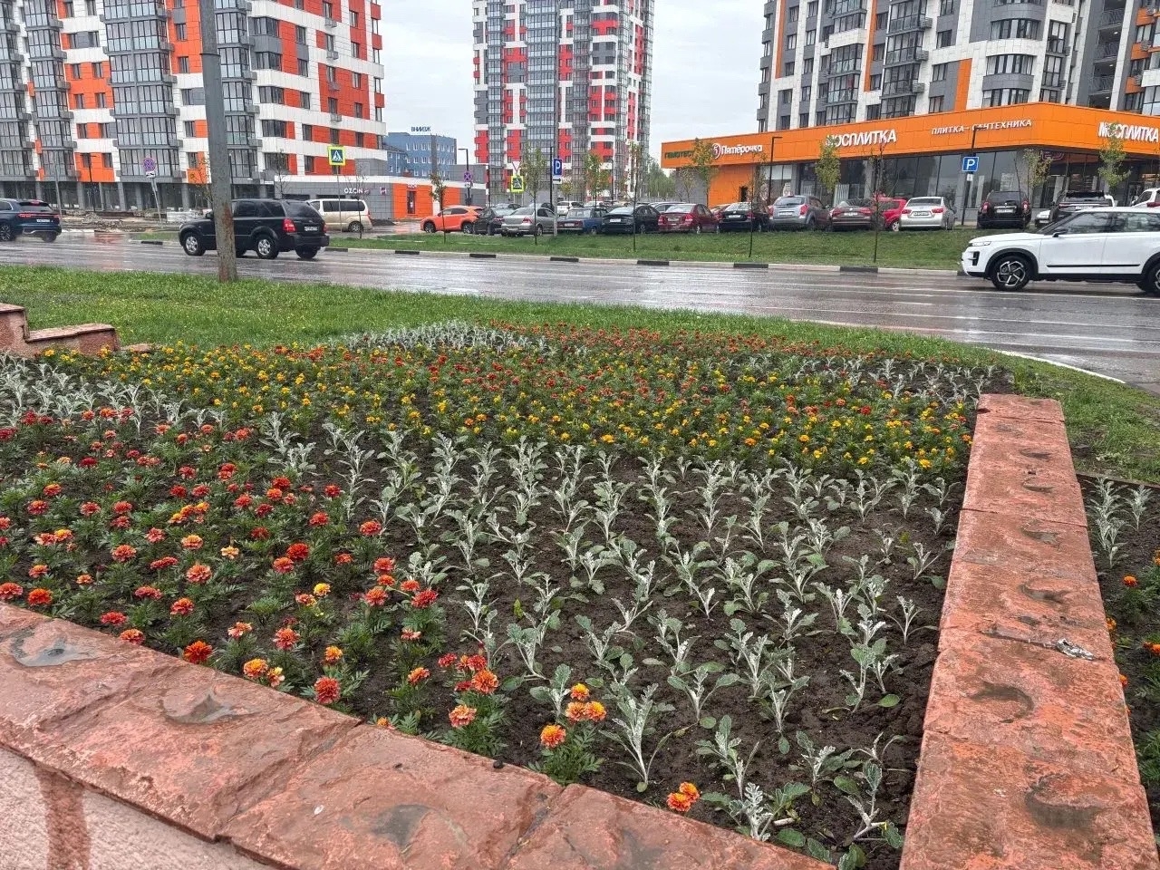 🌞Под весенним солнцем студенты колледжа специальности "Садово-парковое и ландшафтное строительство" ...