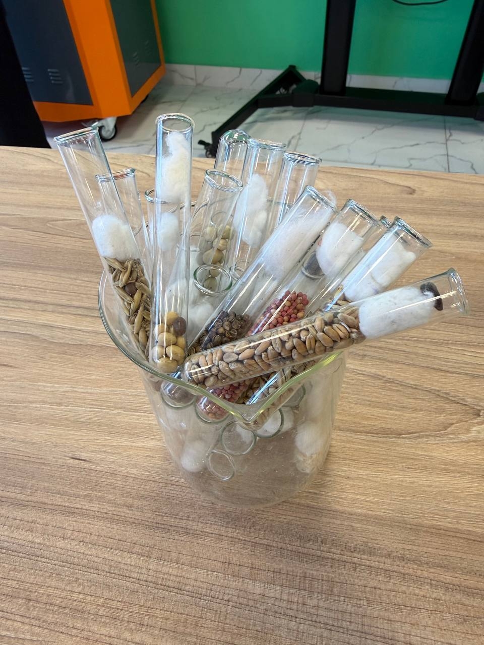 В рамках проведения «Недели науки» в Тульском сельскохозяйственном колледже проведены мероприятия: 
...